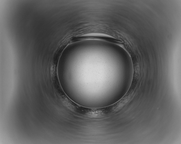 X0000116370278200912091244