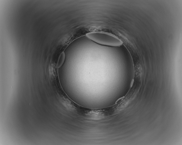 X0000116370280200912091244