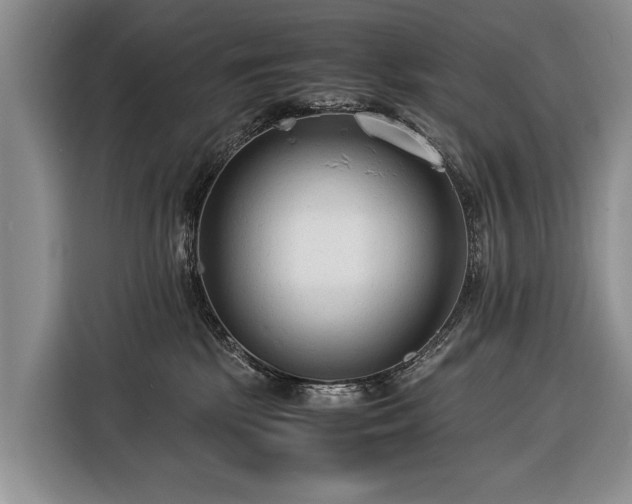 X0000116370281200912091244