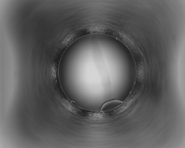 X0000116370282200912091244