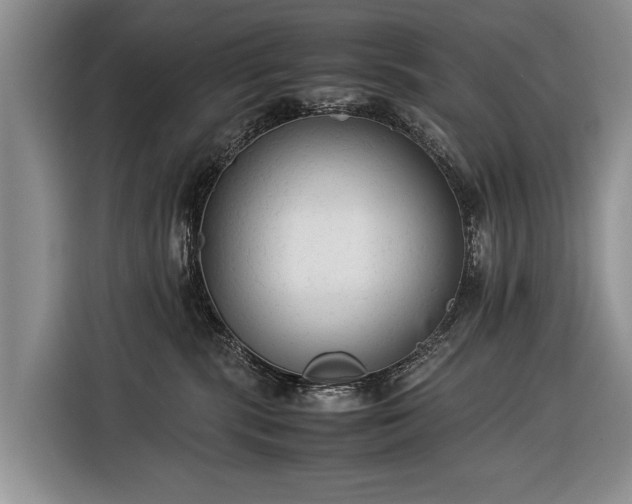 X0000116370283200912091244