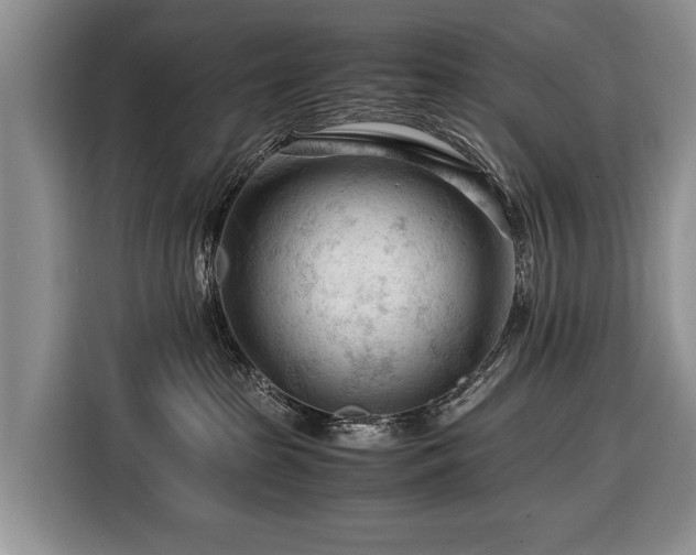 X0000116370285200912091244