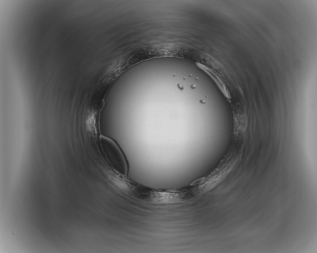 X0000116370286200912091244