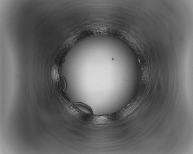 X0000116370287200912091244