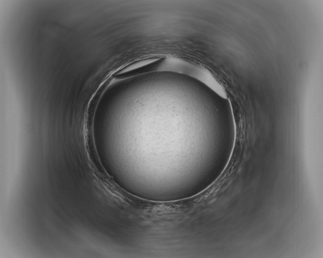 X0000116370290200912091243