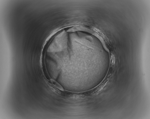 X0000116370292200912091243