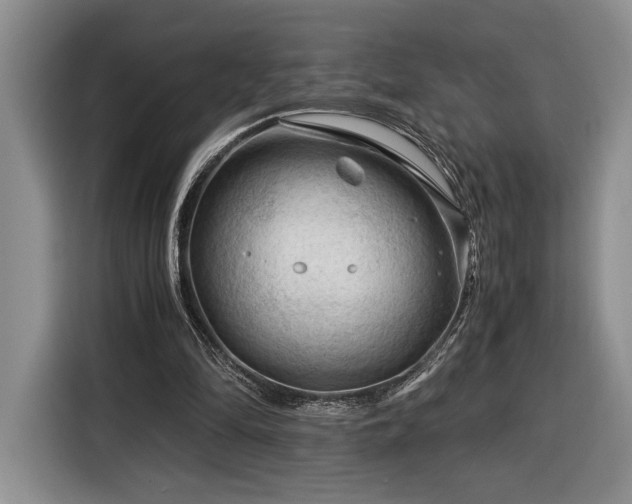 X0000116370294200912091243