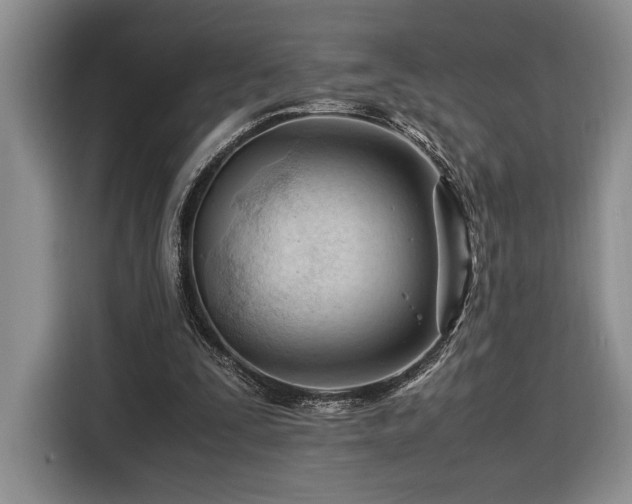 X0000116370295200912091243