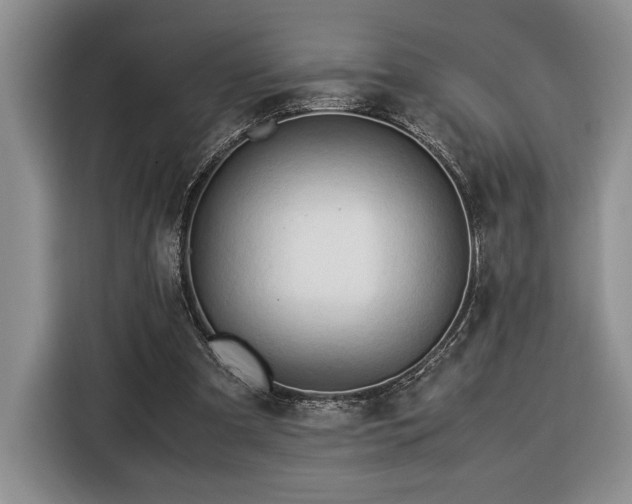 X0000116370297200912091243