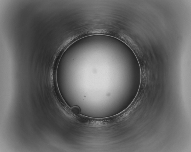 X0000116370298200912091243