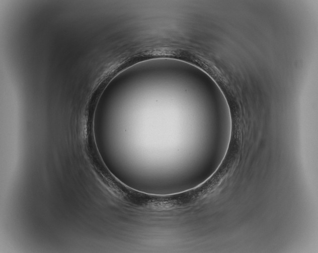 X0000116370299200912091243