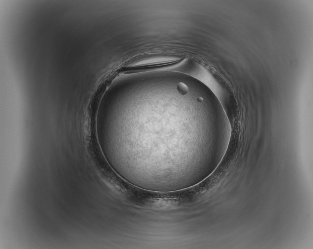 X0000116370303200912091243