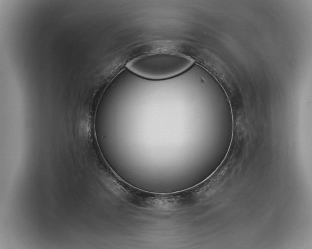 X0000116370305200912091243