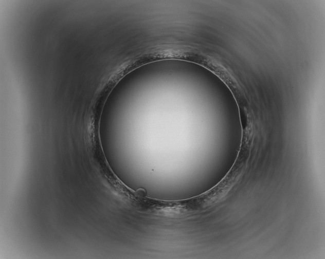 X0000116370306200912091243