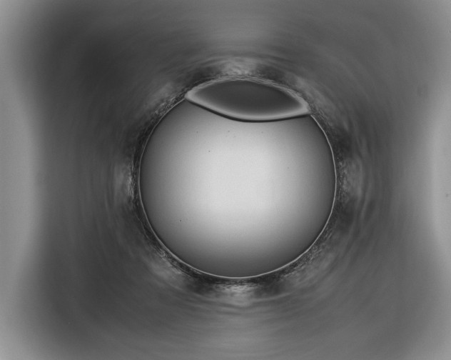 X0000116370313200912091243