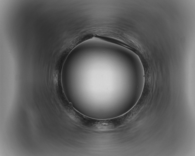 X0000116370315200912091243