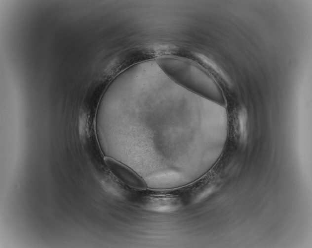 X0000116370316200912091243