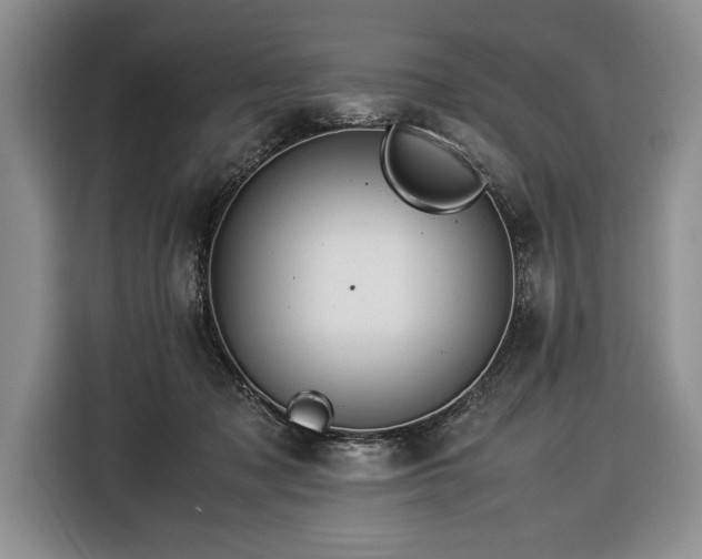 X0000116370317200912091243