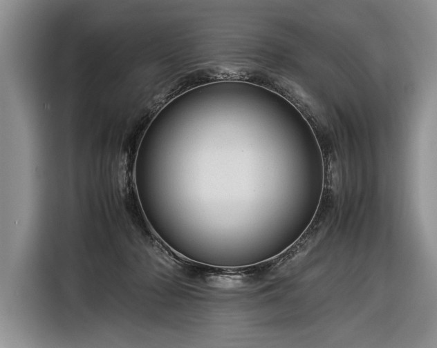 X0000116370318200912091243