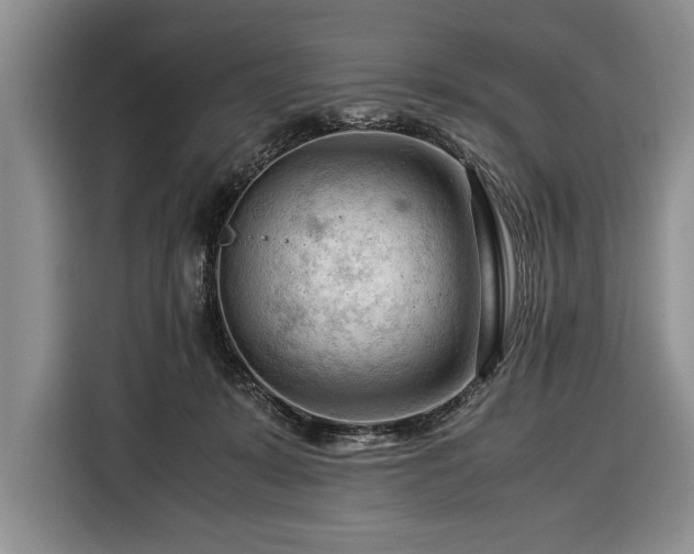 X0000116370319200912091243