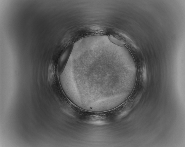 X0000116370320200912091243