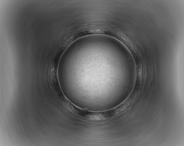 X0000116370322200912091243