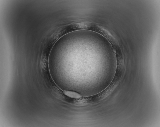 X0000116370325200912091243