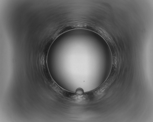 X0000116370326200912091243