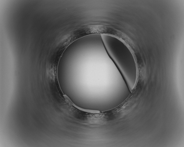 X0000116370329200912091243