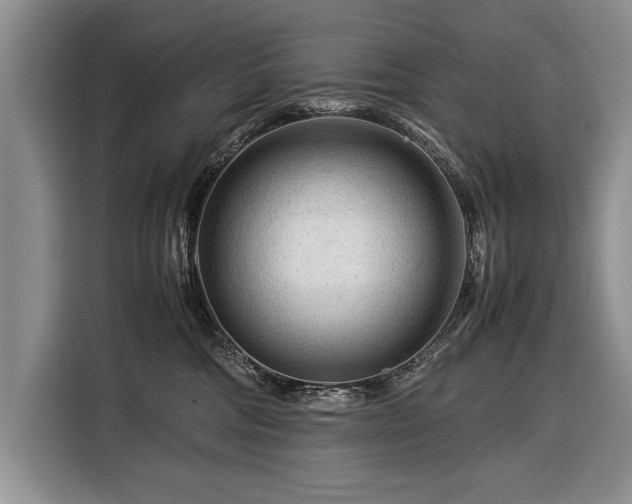 X0000116370330200912091243