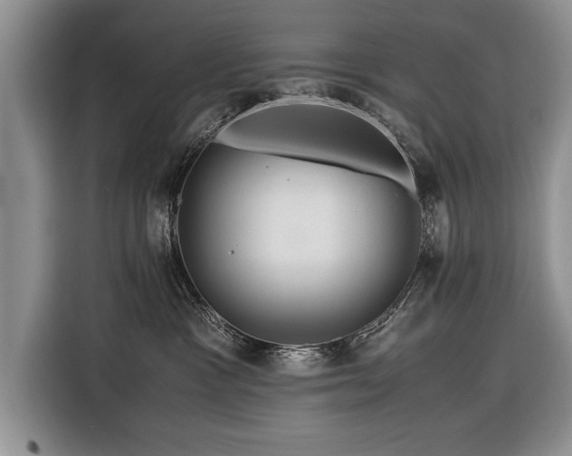 X0000116370333200912091243