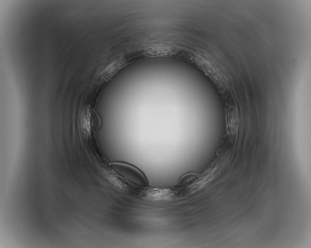 X0000116370334200912091243