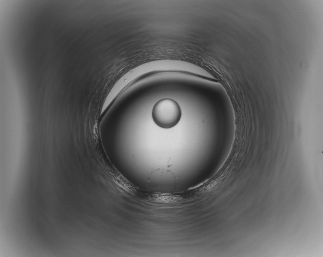 X0000116370336200912091243