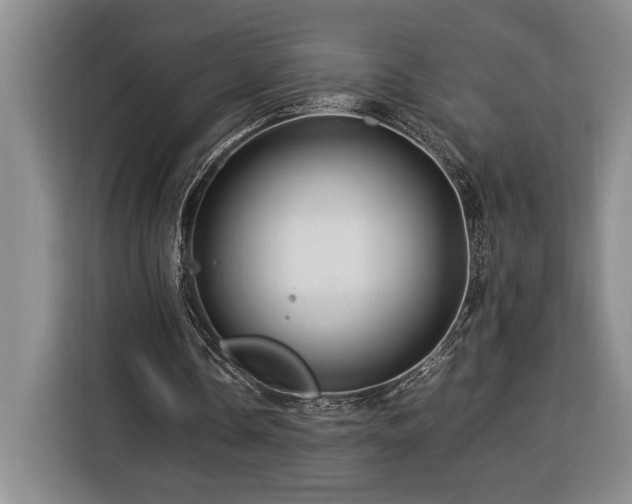 X0000116370338200912091242