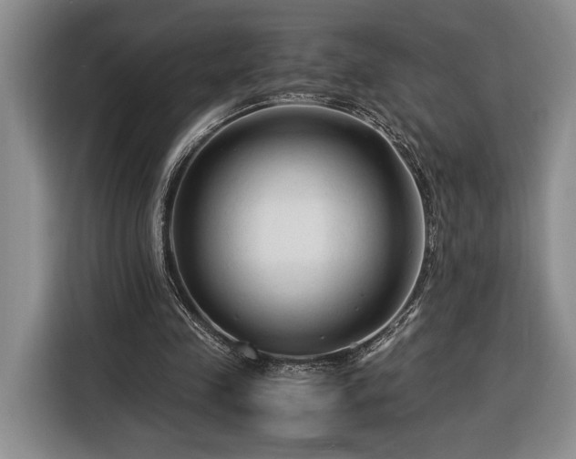 X0000116370341200912091242