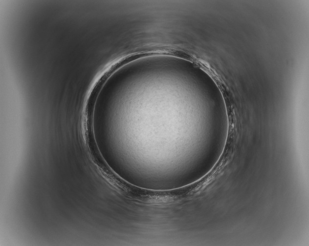 X0000116370342200912091242