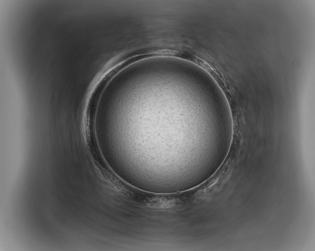 X0000116370343200912091242