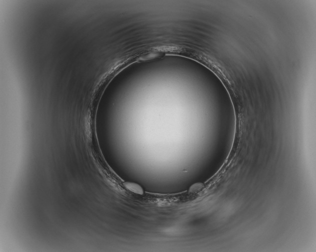 X0000116370345200912091242