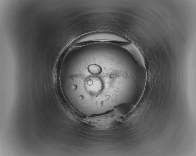 X0000116370347200912091242