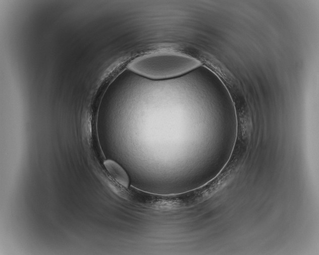 X0000116370350200912091242