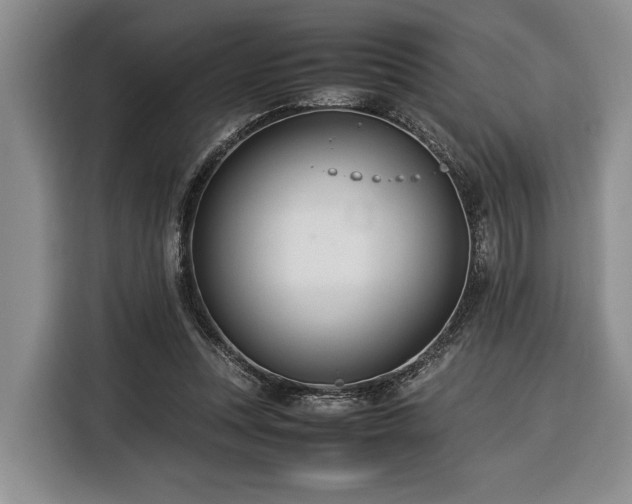 X0000116370351200912091242