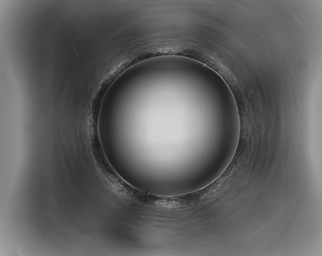 X0000116370354200912091242