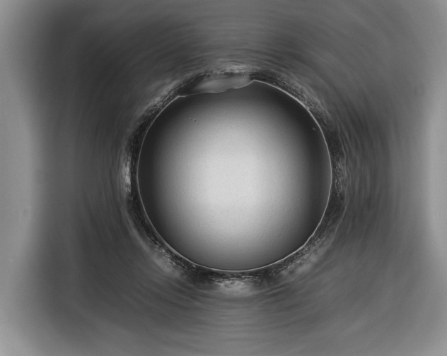 X0000116370358200912091242