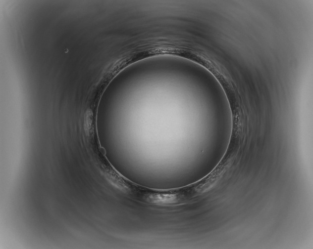 X0000116370361200912091242