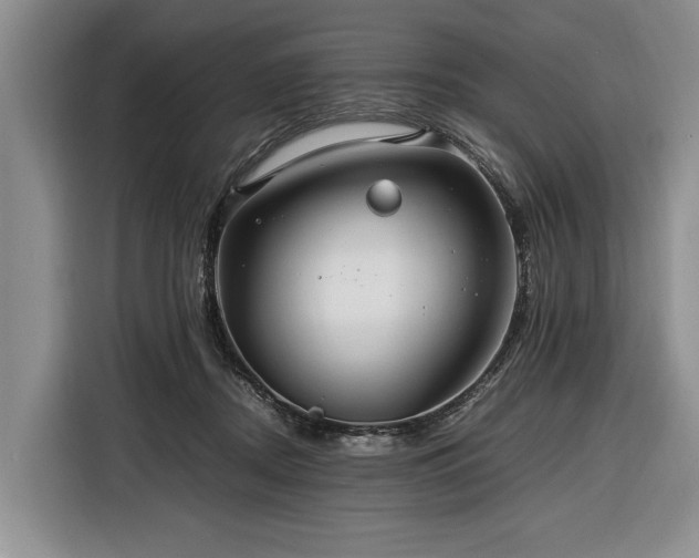 X0000116370362200912091242