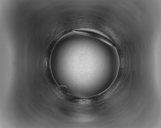 X0000116370363200912091242