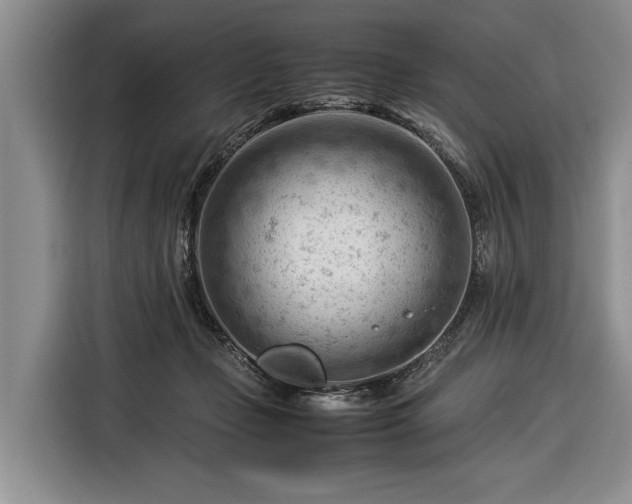 X0000116370365200912091242