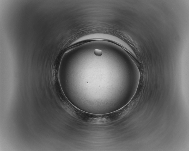 X0000116370366200912091242