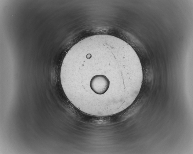 X0000116370370200912091242