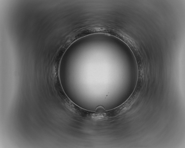 X0000116370373200912091242